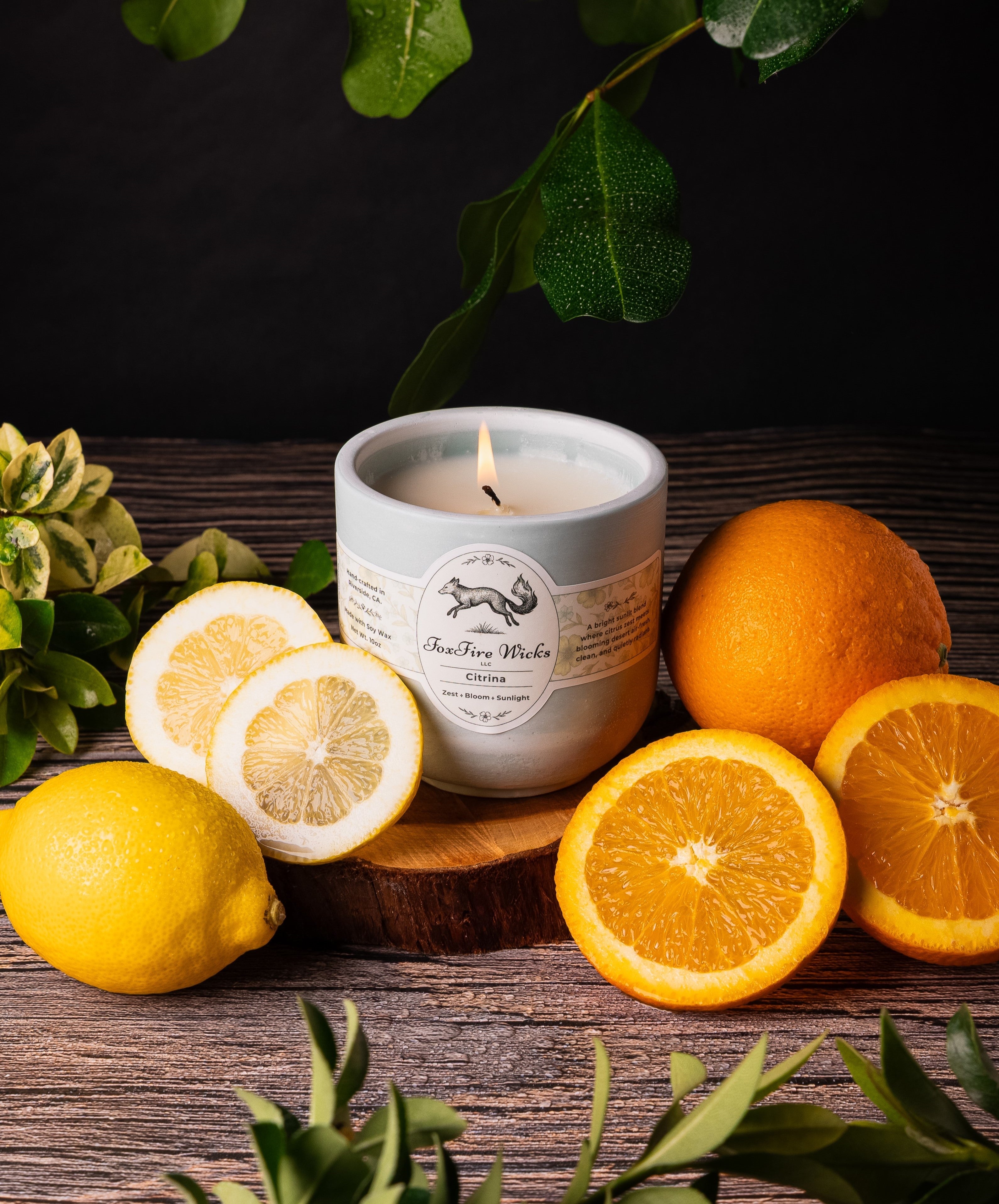 Cypress Summer – FoxFire Wicks
