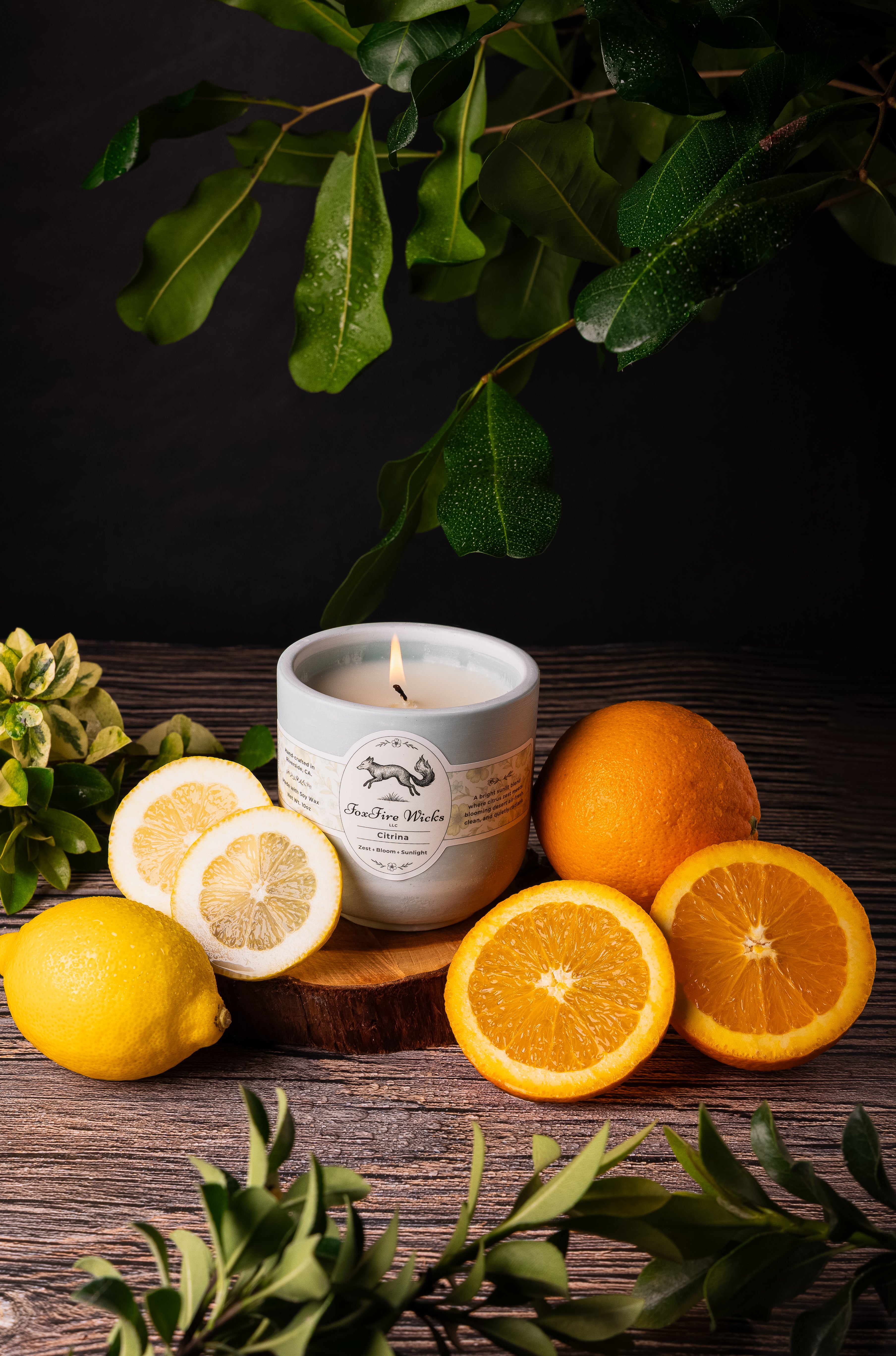 Cypress Summer – FoxFire Wicks